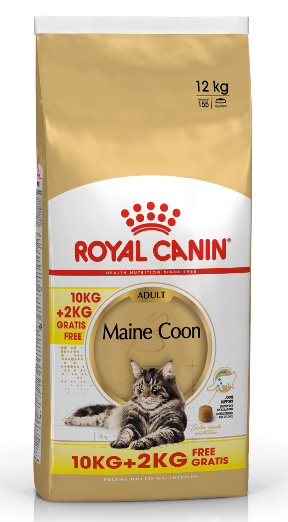 Royal Canin FBN Maine Coon 10kg + 2kg DĀVANĀ!